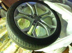 IMG_2617.jpg