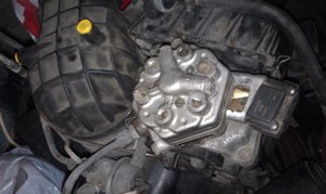 IMAG0214.jpg
