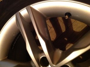 IMG_0224[1].jpg