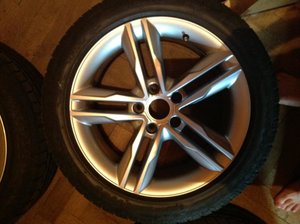 IMG_0229[1].jpg