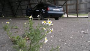2012-06-24-413.jpg