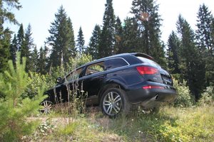 IMG_4950.jpg