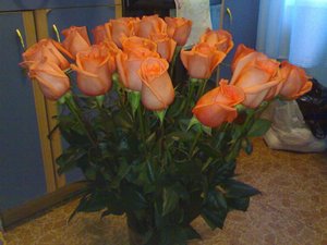 09092007175.jpg