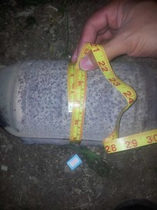 88.jpg