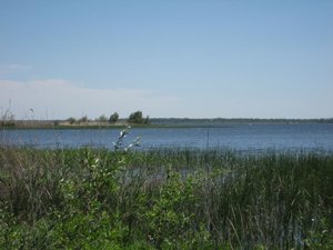 IMG_2606.jpg