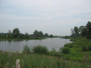 IMG_1265.jpg