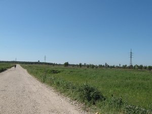 IMG_1251.jpg