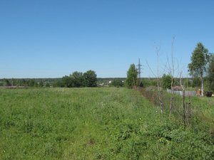 IMG_1252.jpg