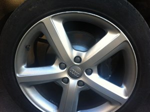 IMG_1393.jpg
