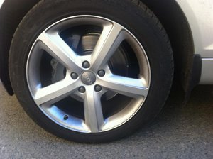 IMG_1385.jpg