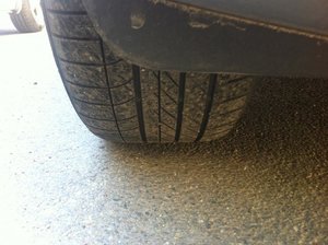 IMG_1390.jpg