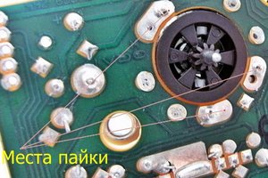 SANY0232.jpg