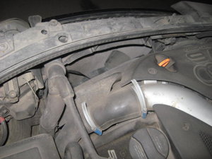 IMG_1703.JPG