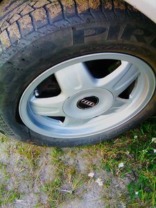IMAG0845.jpg