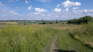 2012-07-08-467.jpg