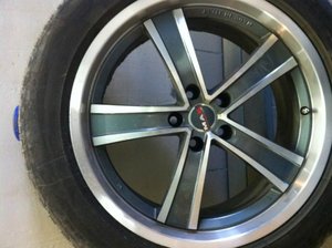 IMG_0461[1].jpg