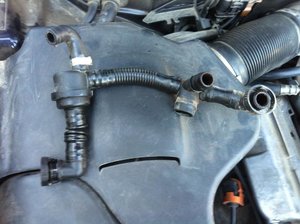 IMG_0831[1].jpg