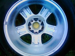 IMAG0892.jpg