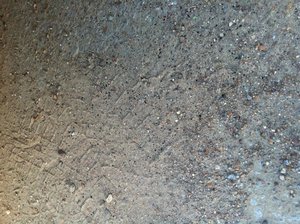IMG_0850.jpg