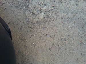 IMG_0851.jpg