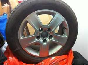 IMG_0242.jpg