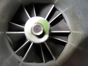 IMG_4504.jpg