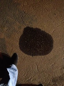 IMG_0477.jpg