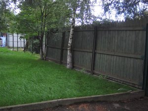 IMG_2551.jpg