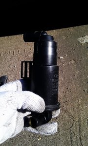 IMAG0350.jpg