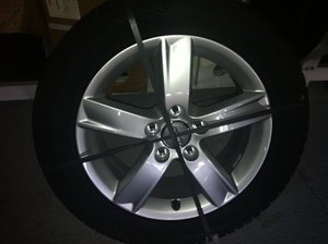 IMG_1160.jpg