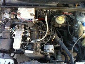IMG_1115.jpg