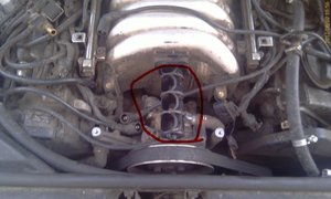 IMAG0230.jpg