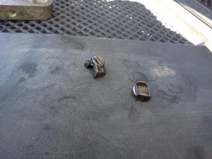 IMG170.jpg
