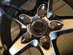 IMG_1313_resize.jpg