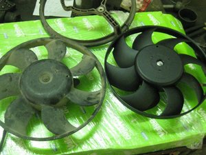 IMG_1951.jpg