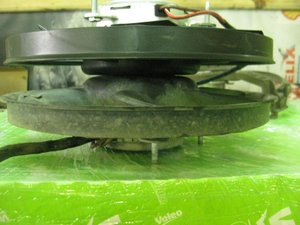 IMG_1952.jpg