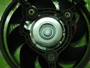 IMG_1954.jpg