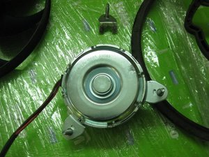 IMG_1959.jpg