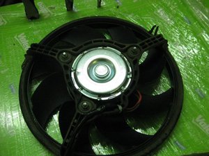 IMG_1961.jpg