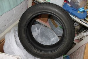 IMG_6330_1.jpg