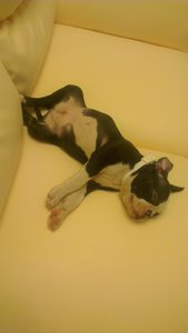 IMAG0800.jpg