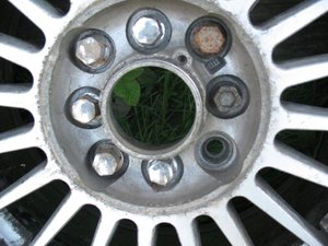 IMG_0416.jpg