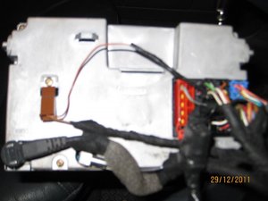 IMG_2917.jpg