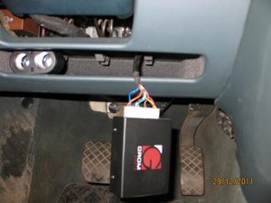 IMG_2920.jpg