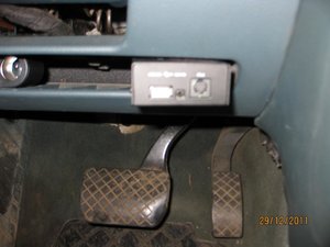 IMG_2924.jpg