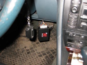 IMG_2921.jpg
