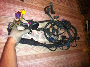 IMG_0633[1].jpg