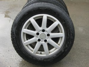 IMG_2736.jpg