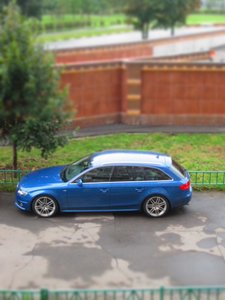 IMG_0774.jpg