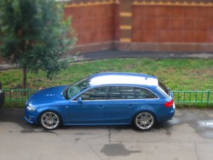 IMG_0786.jpg